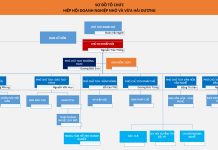 Sơ đồ tổ chức hội